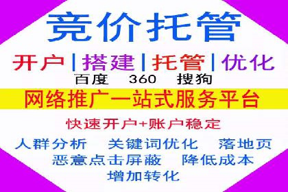 SEM推广代运营：成功案例解析与策略分享